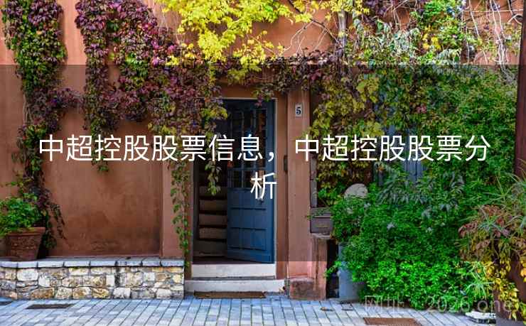中超控股股票信息，中超控股股票分析