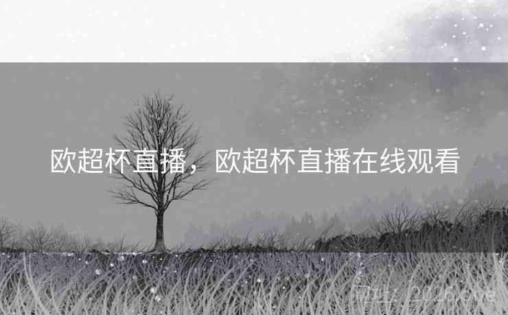 欧超杯直播，欧超杯直播在线观看