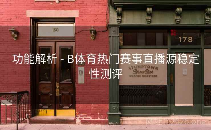 功能解析 - B体育热门赛事直播源稳定性测评