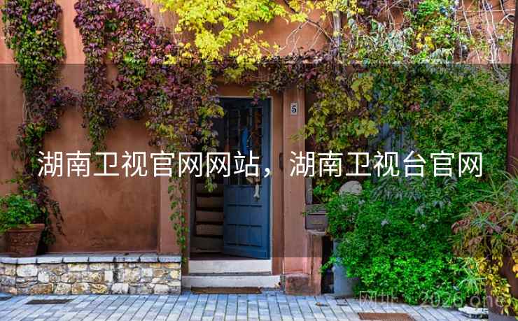 湖南卫视官网网站，湖南卫视台官网