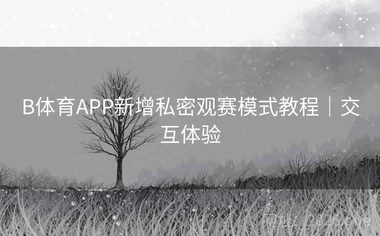 B体育APP新增私密观赛模式教程｜交互体验