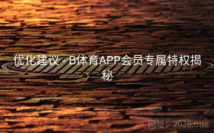 优化建议 - B体育APP会员专属特权揭秘