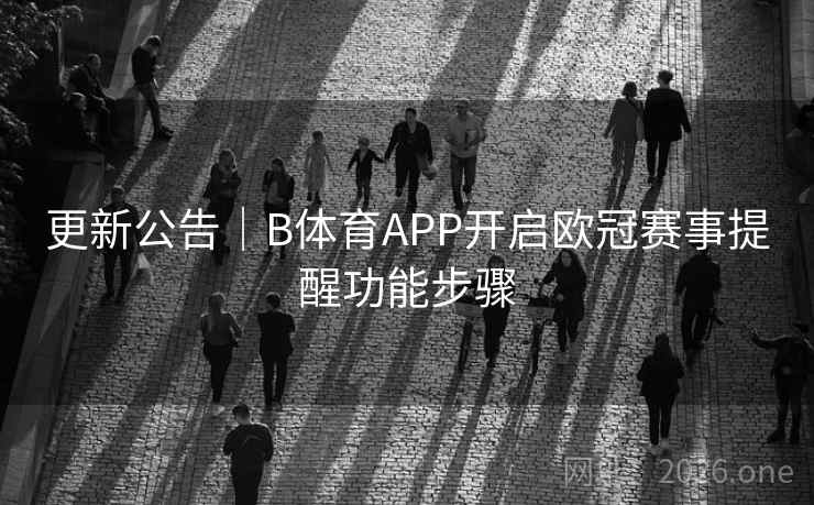 更新公告|B体育APP开启欧冠赛事提醒功能步骤