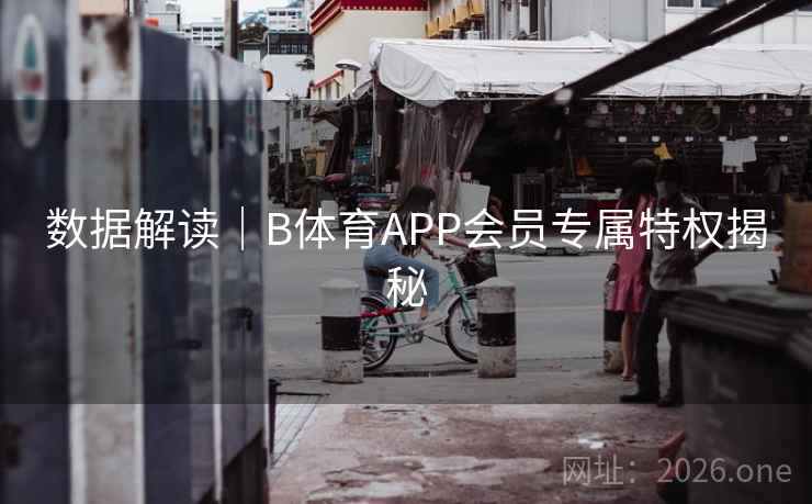 数据解读｜B体育APP会员专属特权揭秘