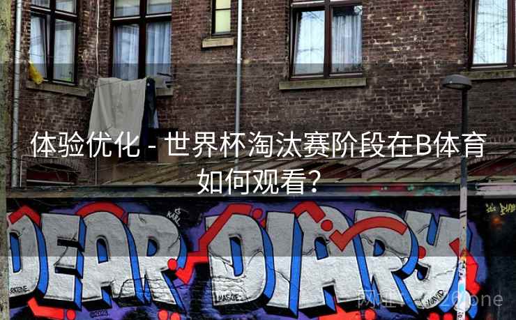 体验优化 - 世界杯淘汰赛阶段在B体育如何观看？