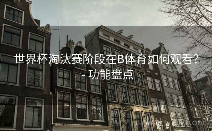 世界杯淘汰赛阶段在B体育如何观看? - 功能盘点