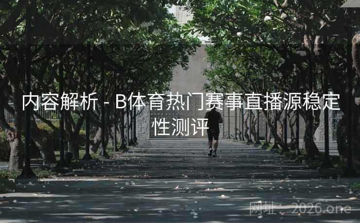 内容解析 - B体育热门赛事直播源稳定性测评