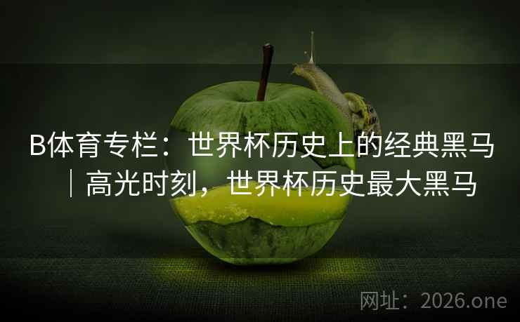 B体育专栏:世界杯历史上的经典黑马|高光时刻,世界杯历史最大黑马