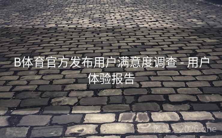 B体育官方发布用户满意度调查 - 用户体验报告