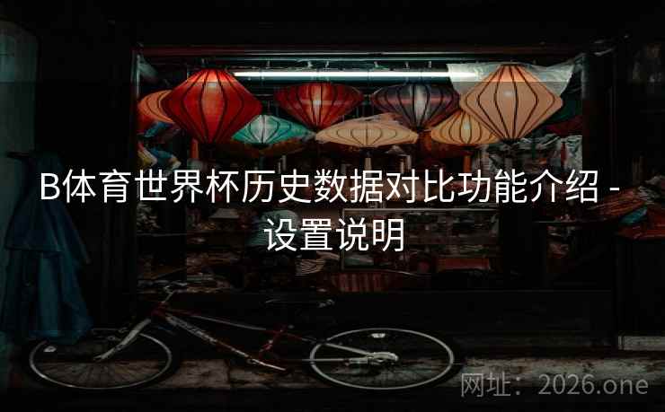 B体育世界杯历史数据对比功能介绍 - 设置说明
