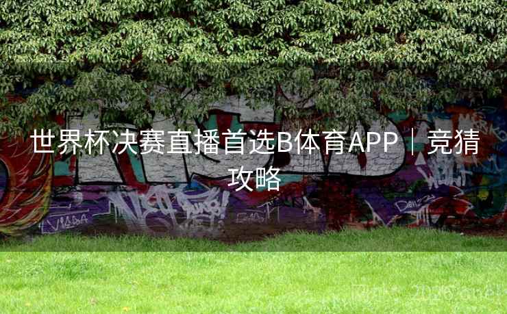 世界杯决赛直播首选B体育APP|竞猜攻略