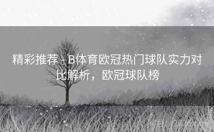 精彩推荐 - B体育欧冠热门球队实力对比解析,欧冠球队榜