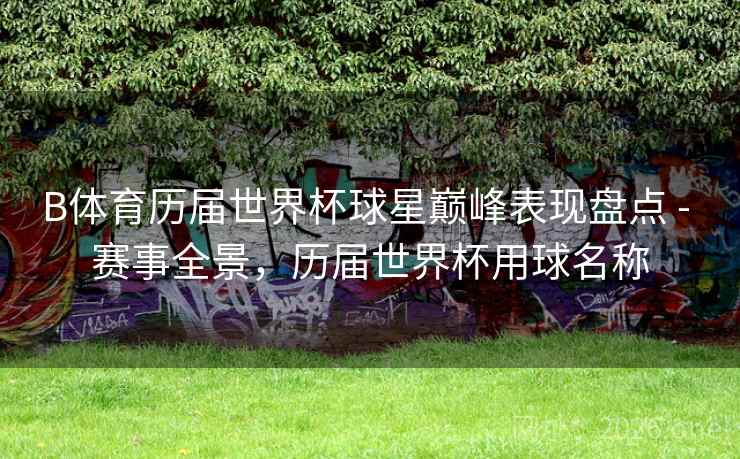 B体育历届世界杯球星巅峰表现盘点 - 赛事全景，历届世界杯用球名称